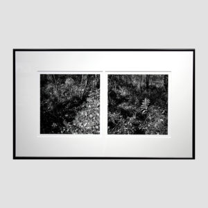 Artwork by Bruno Chalifour